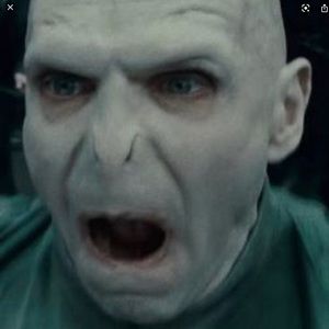 Meet your Posher, Aubree